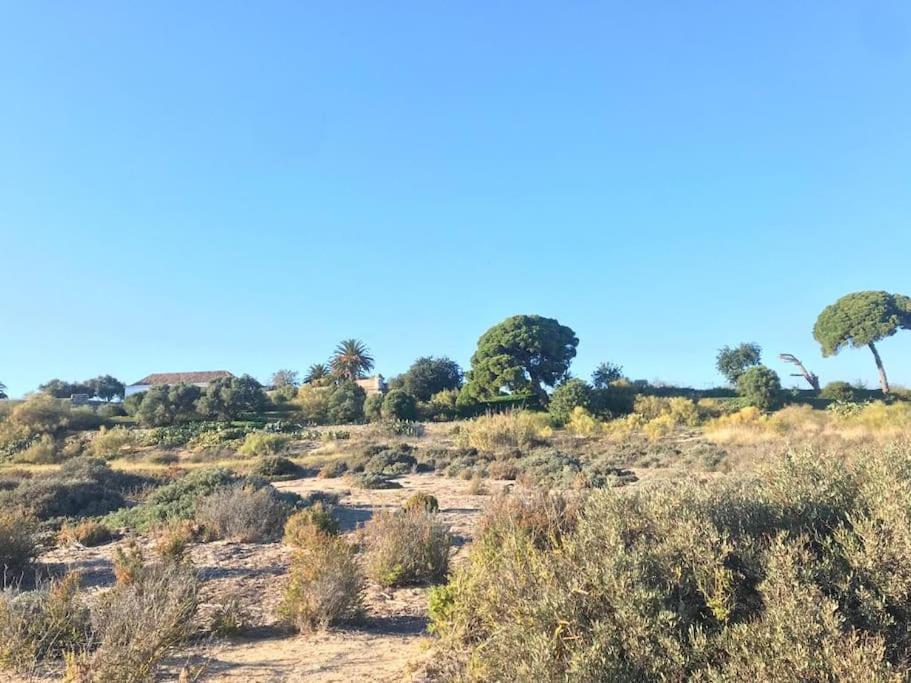 Casa Da Boa Gente Daire Cabanas De Tavira Dış mekan fotoğraf